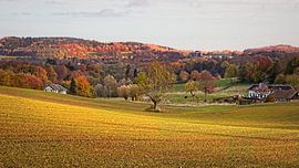 Herfstdag in de Wolfhaag