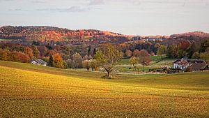 Herbsttag im Wolfhaag