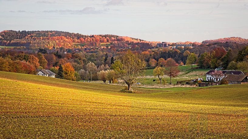 Herfstdag in de Wolfhaag van Rob Boon