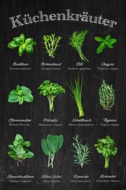 Diversité des herbes aromatiques - Aperçu des classiques de la cuisine / Allemand sur Photo Art Thomas Klee