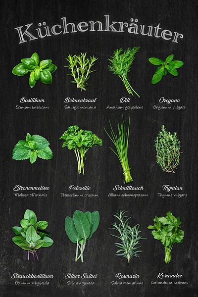 Herb variety - Kitchen classics at a glance / German by Photo Art Thomas Klee