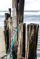 Verlassener Strand mit Mast-Wellenbrecher