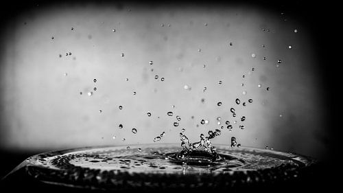 out of the sky, a landing in the middle of the puddle, a cloud of splatters as a result