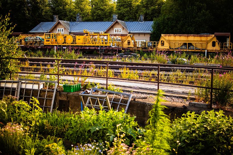 Yellow Maintenance Trains at Country Station – Rails &amp; Nature by Brave Toaster Photos