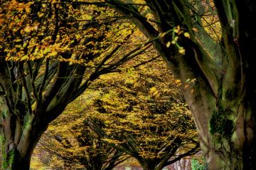 Herfst van Tineke Visscher