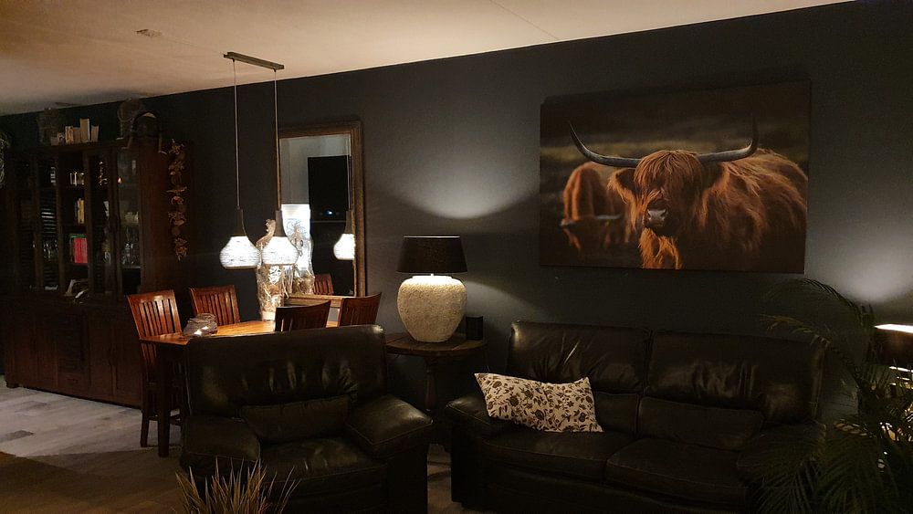 Schotse Hooglander bij avondlicht. Gouden uur. van Henk Van Nunen Fotografie