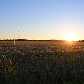 Letztes Licht am Horizont von Naturfotografie Harald Reinl