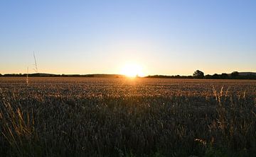Letztes Licht am Horizont