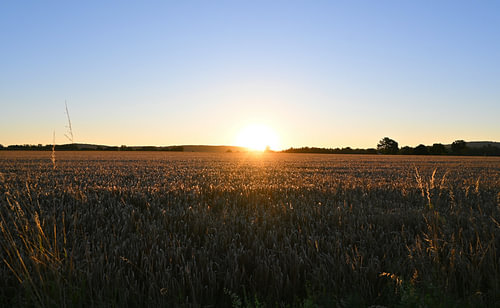 Last light on the horizon