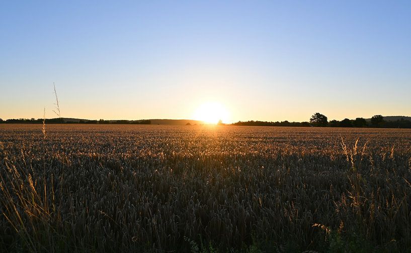 Last light on the horizon by Naturfotografie Harald Reinl