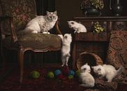 Mother cat and kittens by Elles Rijsdijk thumbnail