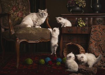 Mutterkatze und Kätzchen von Elles Rijsdijk