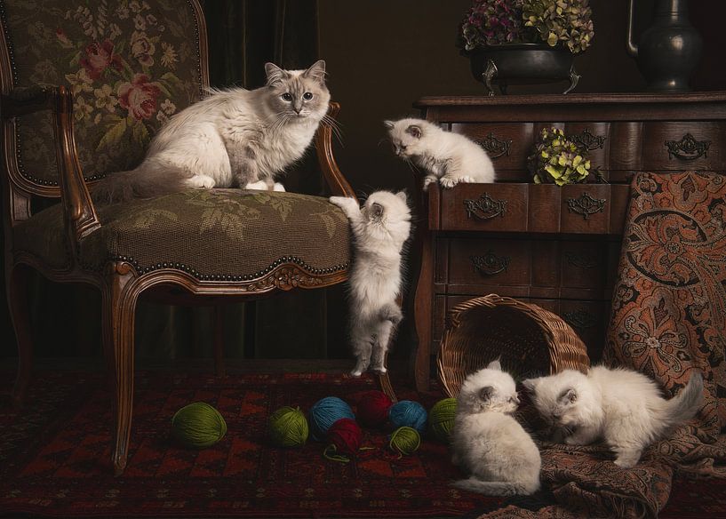 Mother cat and kittens by Elles Rijsdijk