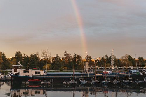Limburg "der Wasserspäher".