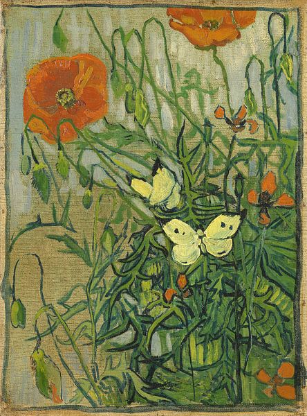 Schmetterlinge auf Mohnblüten - Vincent van Gogh von 1000 Schilderijen
