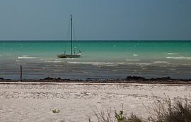 Segelboot im Mexikanischen Meer von Moniek van Rijbroek