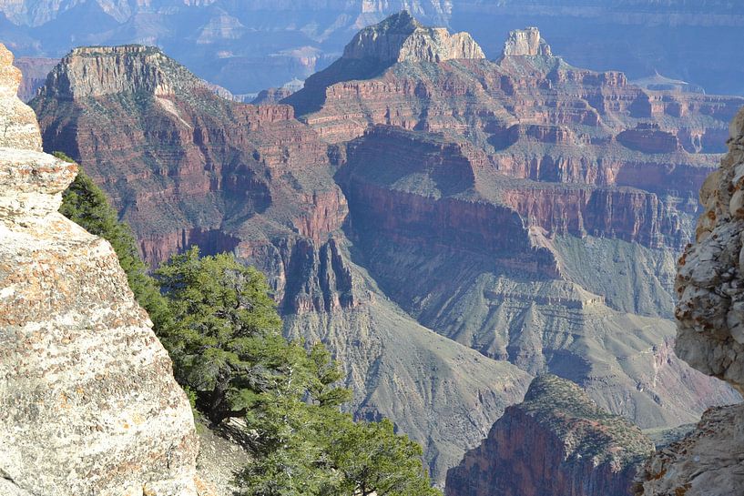 Grand Canyon, Arizona by Bernard van Zwol
