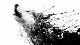 Wolf en de echo van verbondenheid van Fabio Luxia