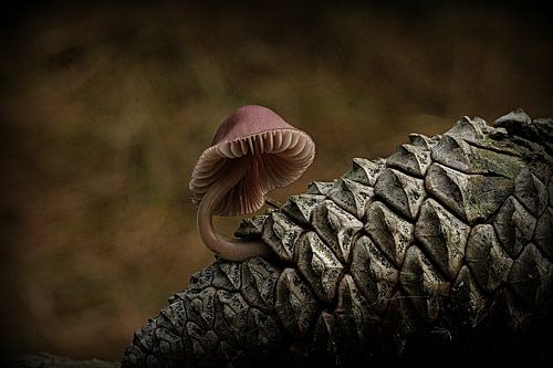 Herfst! van Ramon Rijntjes