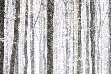 bomen in winterse omstandigheden van peter reinders