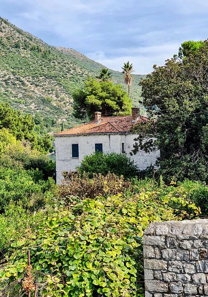 Croatia Motif 4 by zam art