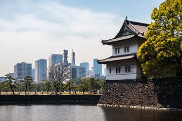 Imperial Palace Tokyo by Luis Emilio Villegas Amador