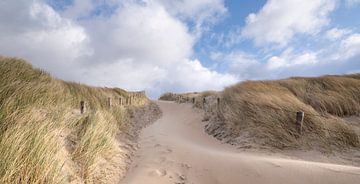 sandy path by Arjan van Duijvenboden