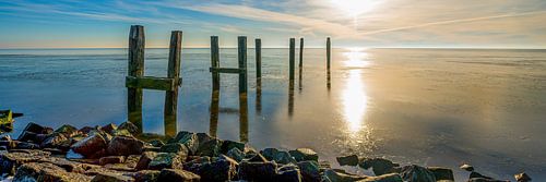 Steigerpalen panorama (3:1) Terschelling