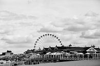 “Free admission to those who dream.” van Linda Hutten thumbnail