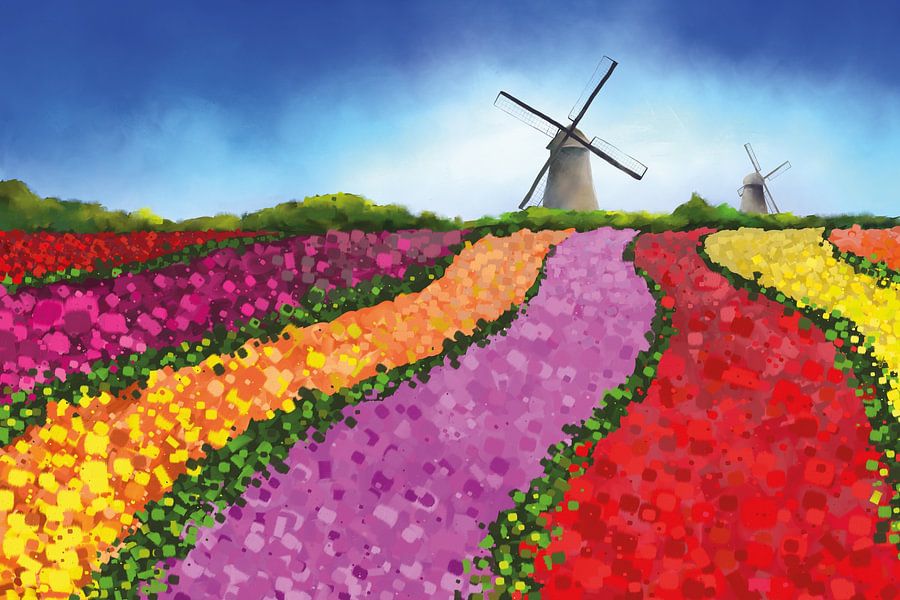 Dutch tulip fields with two windmills