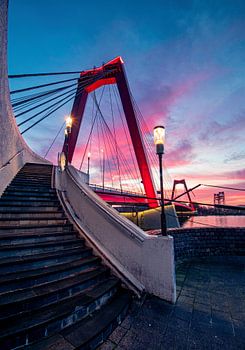 Hef en Willemsbrug in Rotterdam