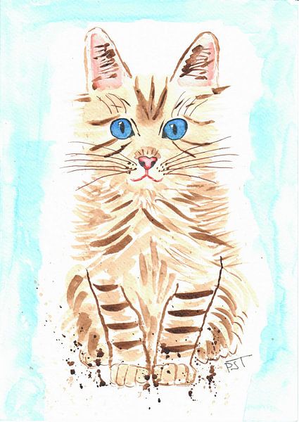 Naughty kitten by Peter Starrenburg