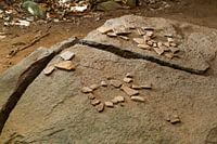Werephai (5)