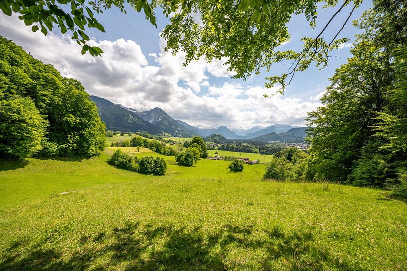 Malerischer Blick auf die Allgäuer Alpen im Frühling von Leo Schindzielorz