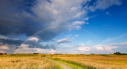 Mijn pad naar de regenboog