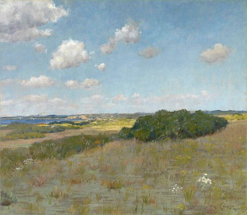 Zonlicht en schaduw, Shinnecock Hills, William Merritt Chase