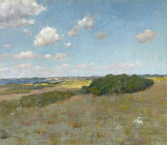 Sonnenlicht und Schatten, Shinnecock Hills, William Merritt Chase von Meisterhafte Meister