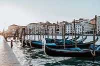Gondels in Venetië, Italië