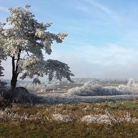 Winterwunderwelt von Andrea Meister