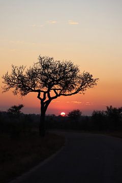Zuid Afrika zonsopgang van Photo by Cities