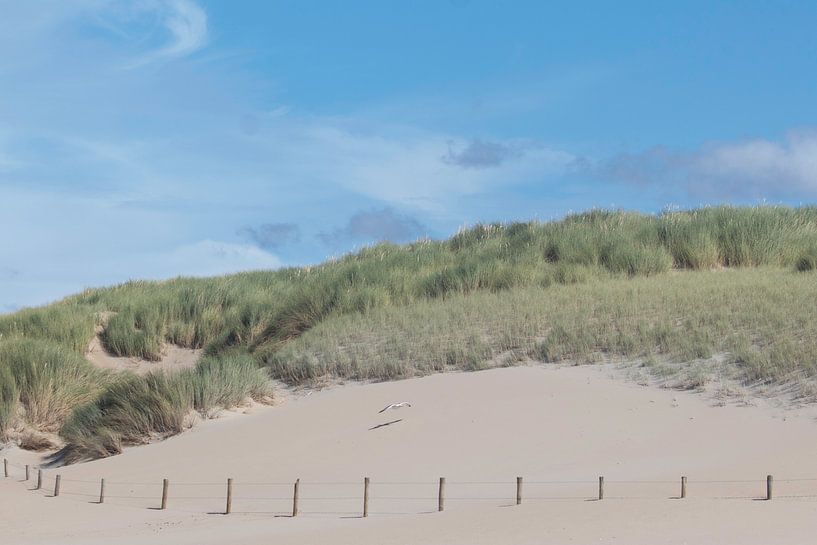 Duinen Scheveningen Zuiderstrand van Anne Zwagers