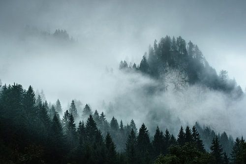 Un paysage de montagne brumeux