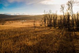 Landschaft von Vestvågøy, Lofoten, Norwegen bei Sonnenuntergang von Floris Heuer