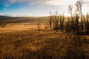 Landschap van Vestvågøy, Lofoten, Noorwegen tijdens zonsondergang