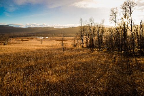 Landschap van Vestvågøy, Lofoten, Noorwegen tijdens zonsondergang