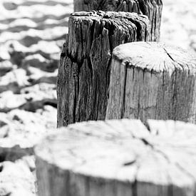 Close-up van paalhoofden aan de  kust | Zeeland, Nederland | Zwart-wit foto | Landschapsfotografie van Diana van Neck Photography