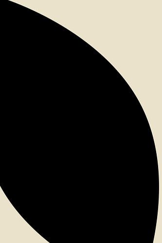 Zwarte organische vormen. Modern abstract nr. 2