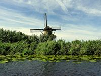 Typisch Nederlands
