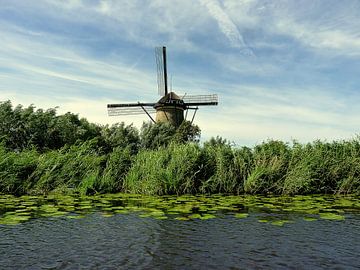 Typisch Nederlands