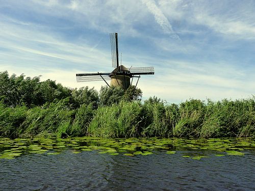 Typisch Niederländisch